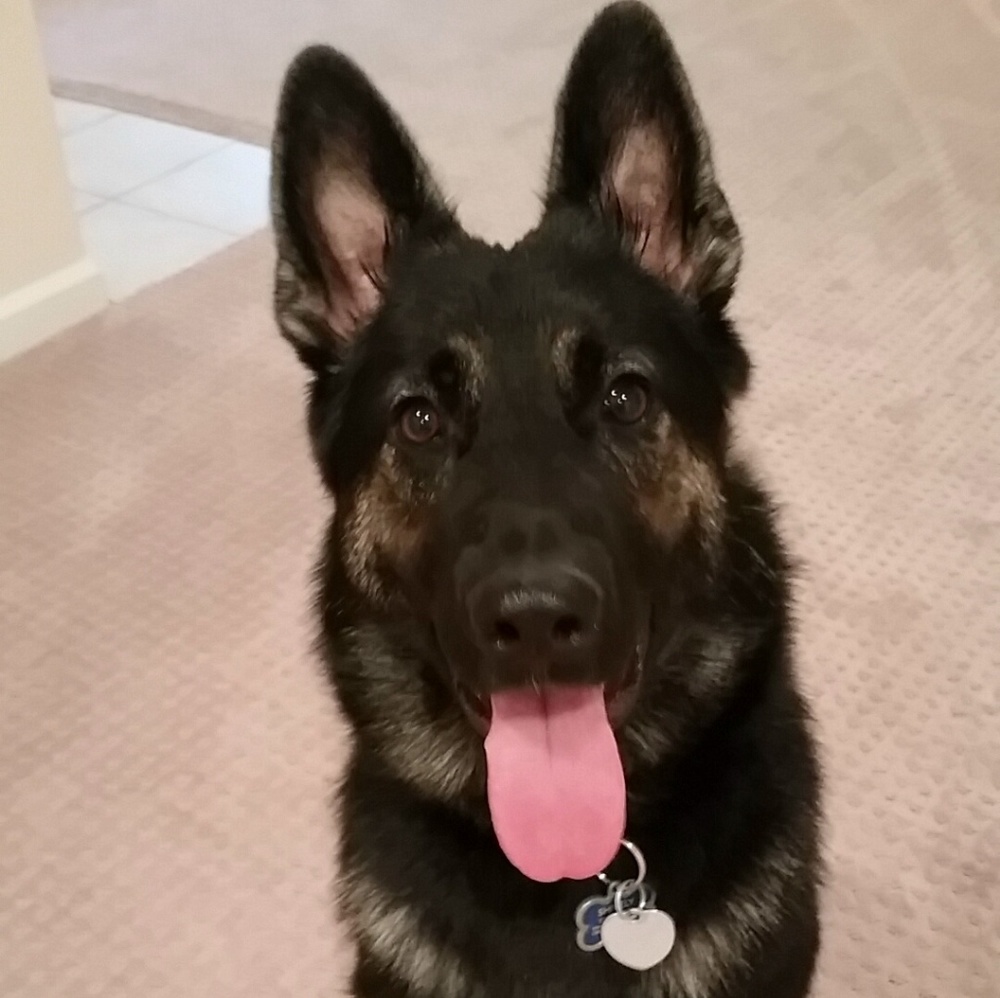 Meet your Posher, Regan